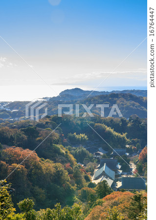 鎌倉遠景 鎌倉遠景 16764447