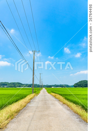 Summer blue sky and country scenery Summer blue sky and country scenery 16764498