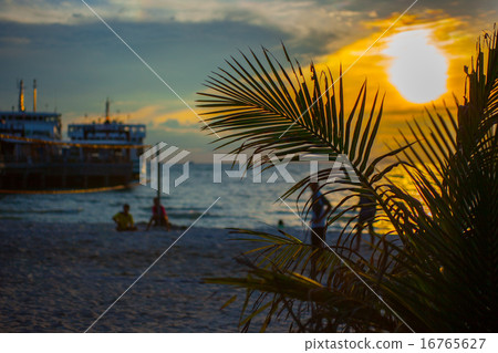 Beach Volleyball at sunset and pier. palm tree  on the foreground 16765627