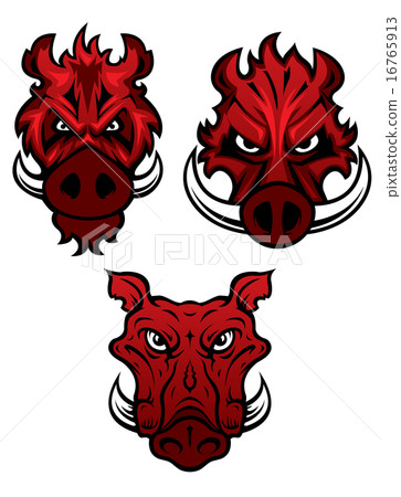 Wild boars with sharp tusks Wild boars with sharp tusks 16765913