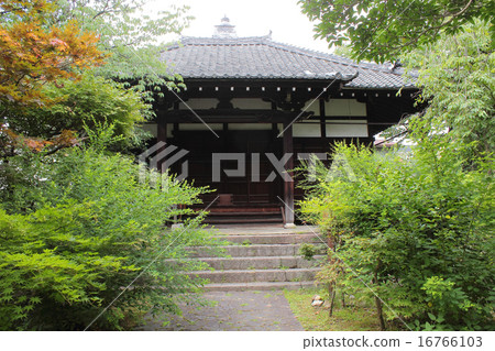 Nara Prefecture Gango-ji Tower Tower Main Hall 16766103