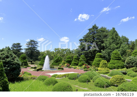 夏季植物園 16766119