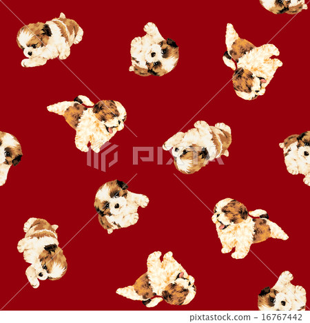 Shih Tzu all handle of dog Shih Tzu all handle of dog 16767442