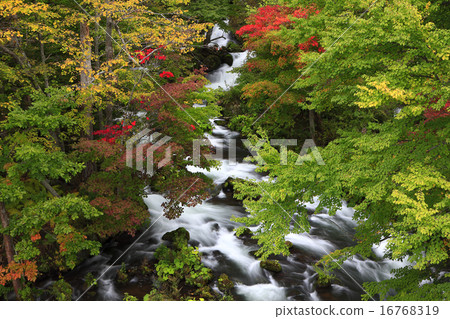 秋天的小溪 16768319
