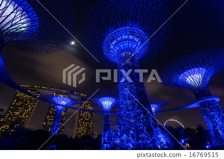 Night view of The Supertree at Gardens by the Bay 16769515