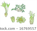 Wild vegetables (bamboo shoots from the left, rice fields, clay, blossoms) 16769557