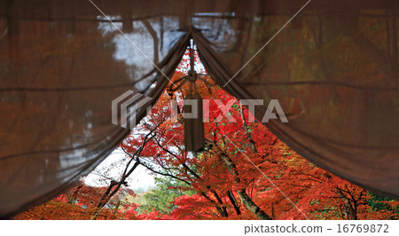 京都114秋葉 京都114秋葉 16769872
