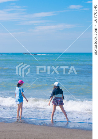 Summer shore 16770540