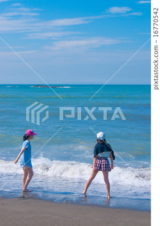 夏日的海岸 16770542