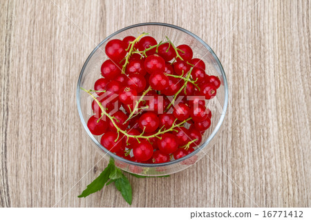 Red currants Red currants 16771412