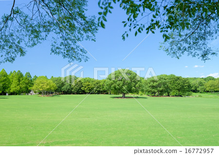 寬草公園 寬草公園 16772957