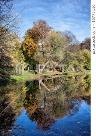 Skaryszewski Park in Warsaw Skaryszewski Park in Warsaw 16773116