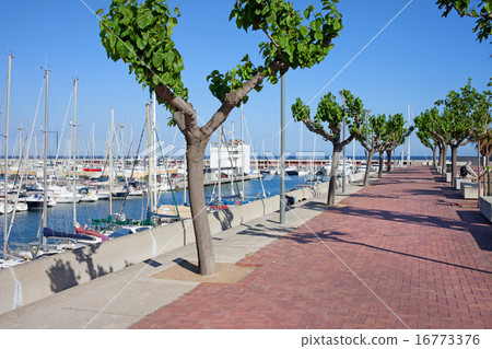 Port Olimpic Promenade in Barcelona 16773376