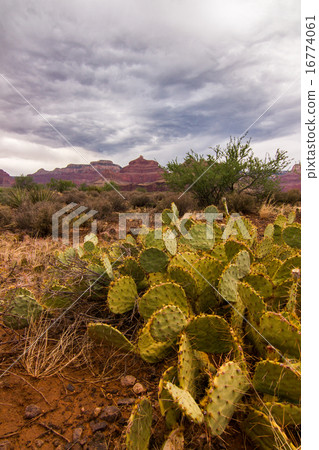 Outdoor Hiking Landscape Outdoor Hiking Landscape 16774061