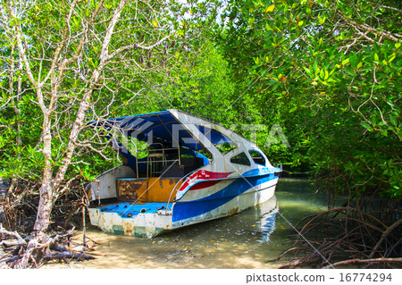 Lost Boat in Mangrove Trees. 16774294