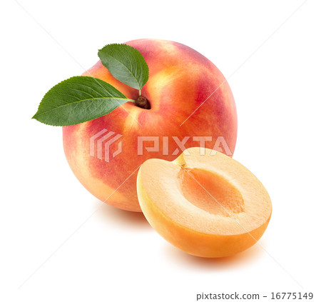 Single peach, apricot half isolated on white Single peach, apricot half isolated on white 16775149