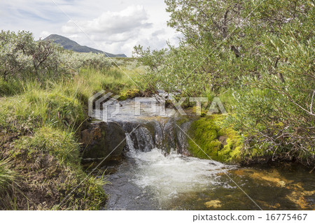Small mountain stream in the mountains of Norway Small mountain stream in the mountains of Norway 16775467