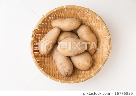 Potatoes 16776859