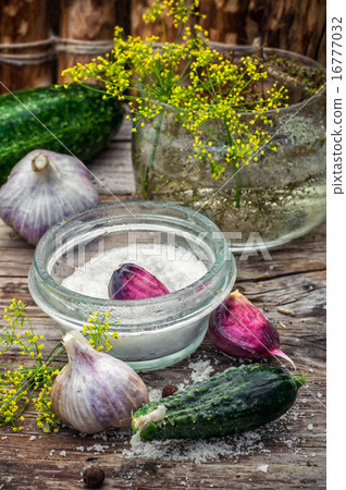 salted cucumber salted cucumber 16777032