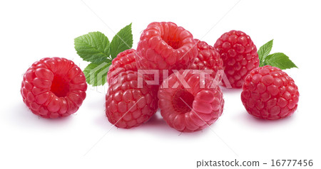 Raspberry leaves horizontal composition isolated Raspberry leaves horizontal composition isolated 16777456