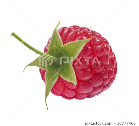 Single isolated raspberry top view on white 16777466