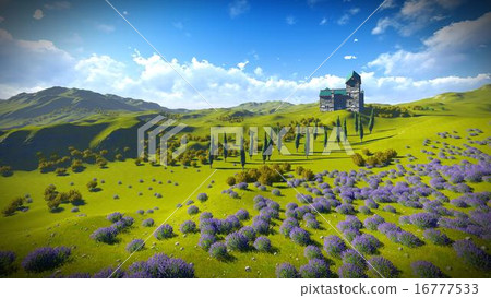 Lavender fields  16777533