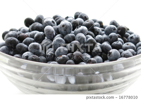 blueberry blueberry 16778010