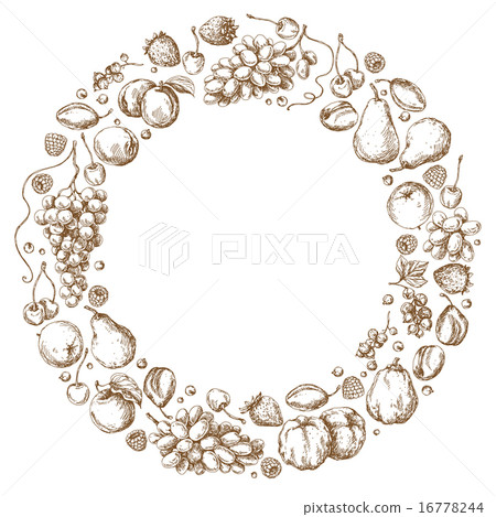 Round Frame of Fruits 16778244