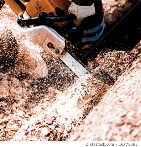 Man sawing a log in his back yard 16778368
