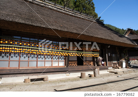 Dried persimmon 16779082