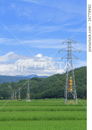 High voltage transmission line · tower 16779992
