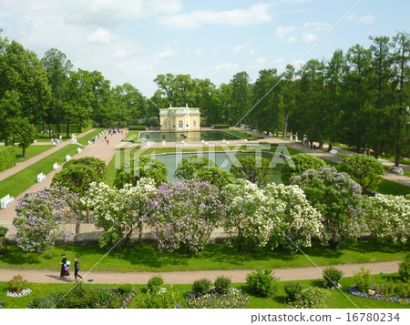 俄羅斯花園 16780234