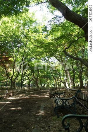 summer park summer park 16781662