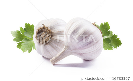 Double garlic with parsley isolated on white  16783397