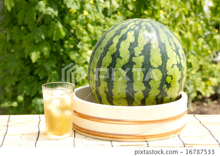 西瓜在夏天 16787533