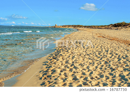 Es Cavallet beach, in Ibiza Island, Spain 16787730