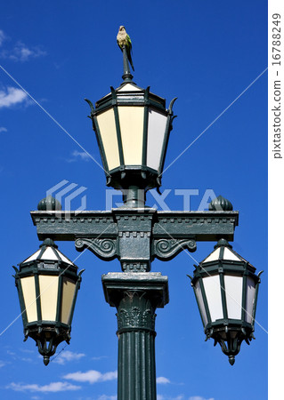 old green street lamp and parrot old green street lamp and parrot 16788249