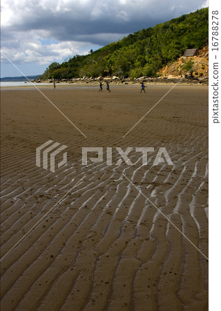 people river palm rock stone people river palm rock stone 16788278