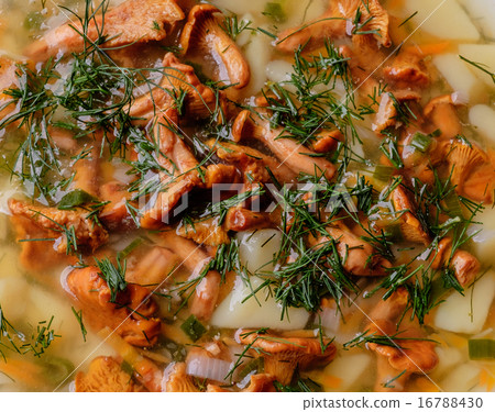 圖庫照片: soup with chanterelles, herbs and potatoes.