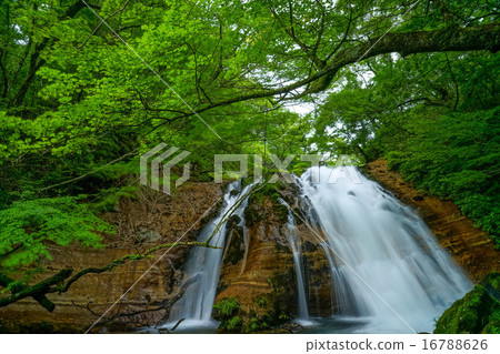 Famous waterfall 16788626