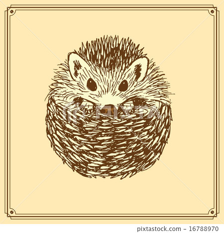 Sketch cute hedgehog in vintage style Sketch cute hedgehog in vintage style 16788970