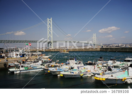 Ikanago釣魚 16789108