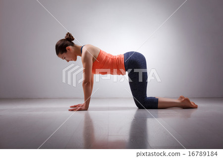 Beautiful sporty fit yogi girl practices yoga asana bitilasana Beautiful sporty fit yogi girl practices yoga asana bitilasana 16789184
