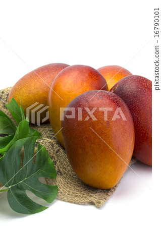 蘋果新鮮的蘋果芒果 16790101