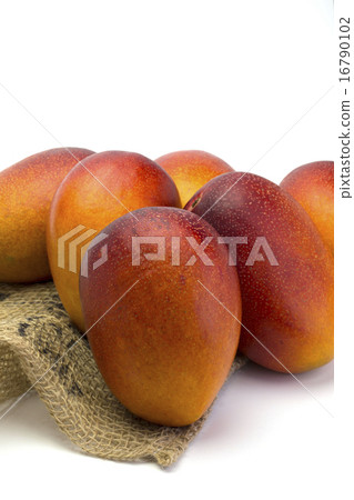 Apple fresh apple mango 16790102