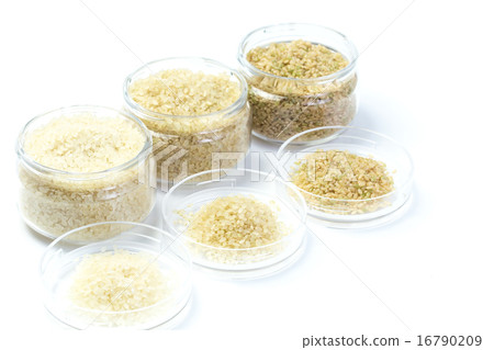 Food ingredients Rice, brown rice, embryo rice, white rice 16790209