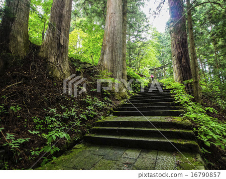 Takioo Shrine入口2 16790857