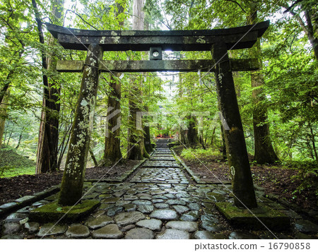 Takioo Shrine Takioo Shrine 16790858