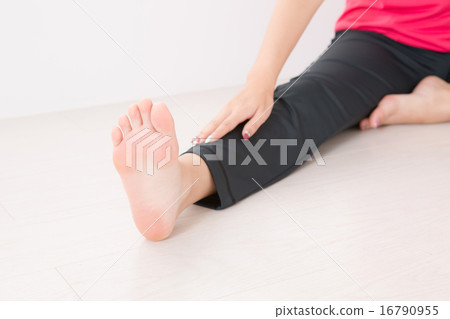 gymnastic, warm-up exercises, warm-up 16790955