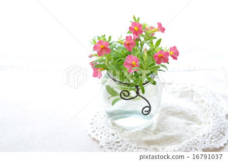 Wire decorative glass bottle and red caribacore 16791037